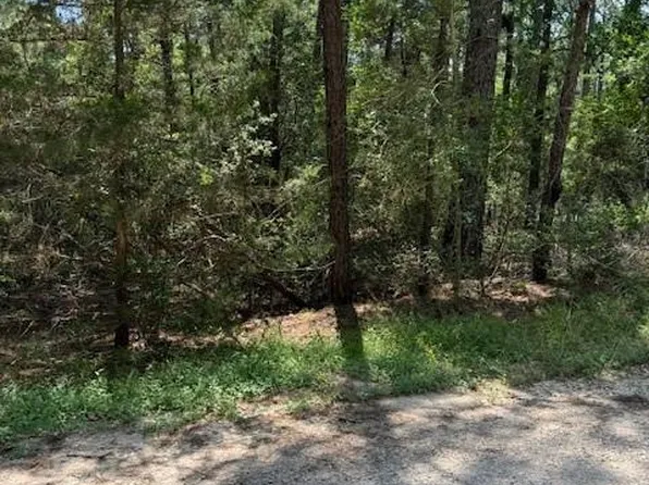 250 Hekili Dr, Bastrop, TX 78602