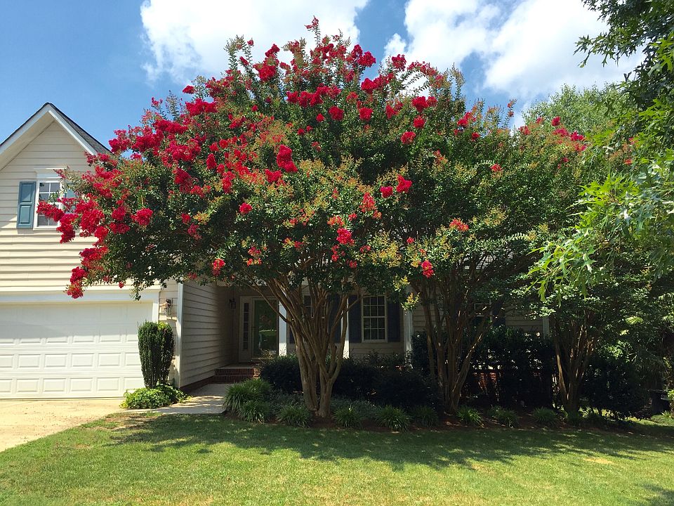 1st image of 101 Misty Meadow Dr