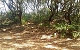 1st image of Dunewood Place Fernandina Beach Amelia Is