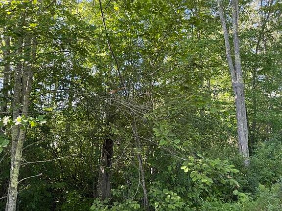 2nd image of 9-21 Drake Road