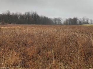 Gore Orphanage Rd, New London, OH 44851