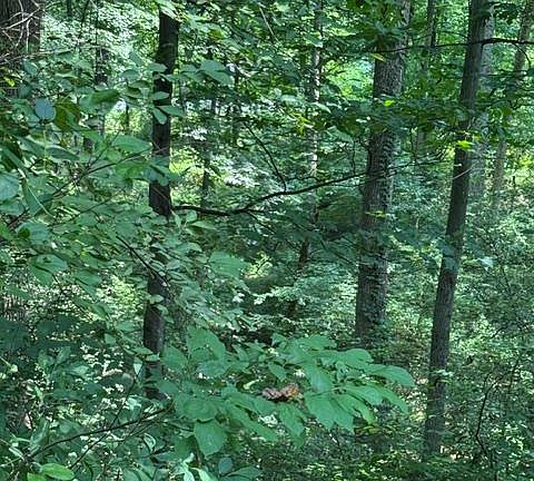 5th image of 4955 Old Washington Rd