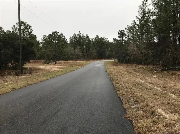 8821 N RAIDIN DRIVE LOT 20, CITRUS SPRINGS, FL 34433