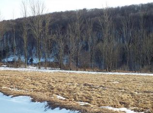 687 Straits Corners Rd, Candor, NY 13743