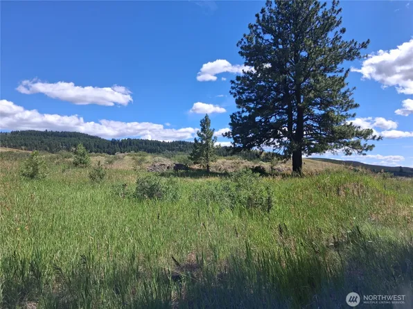 1 Fletcher/Rd 225 Road, Oroville, WA 98840