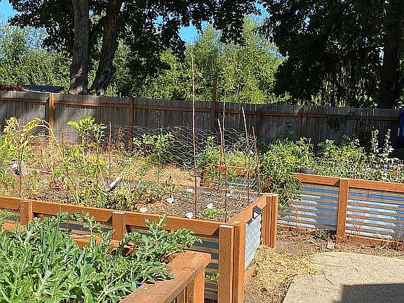 Raised beds