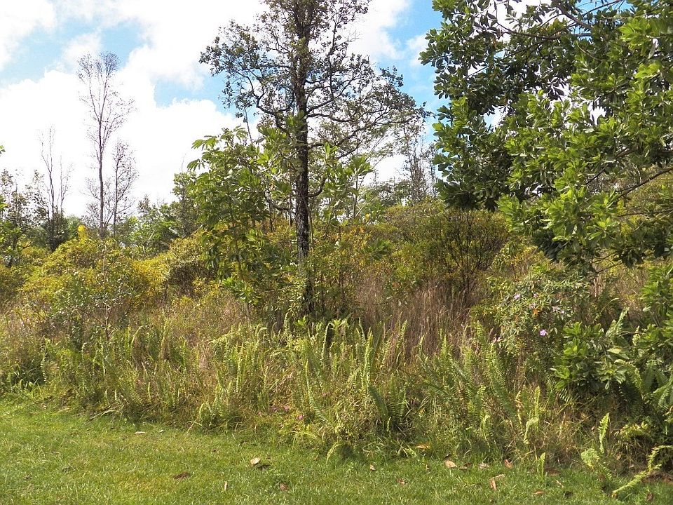 1st image of Kawakawa St Lot 616