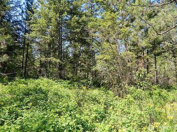 5th image of 111 TBD Murphy Ranch Road