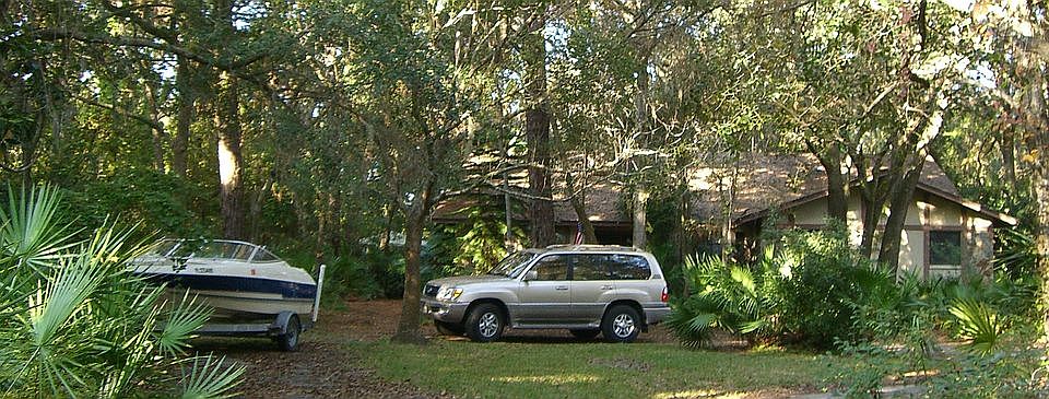Home in the forest