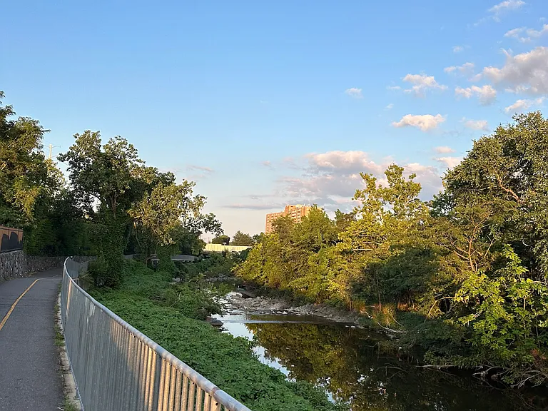 View from the jogging trail