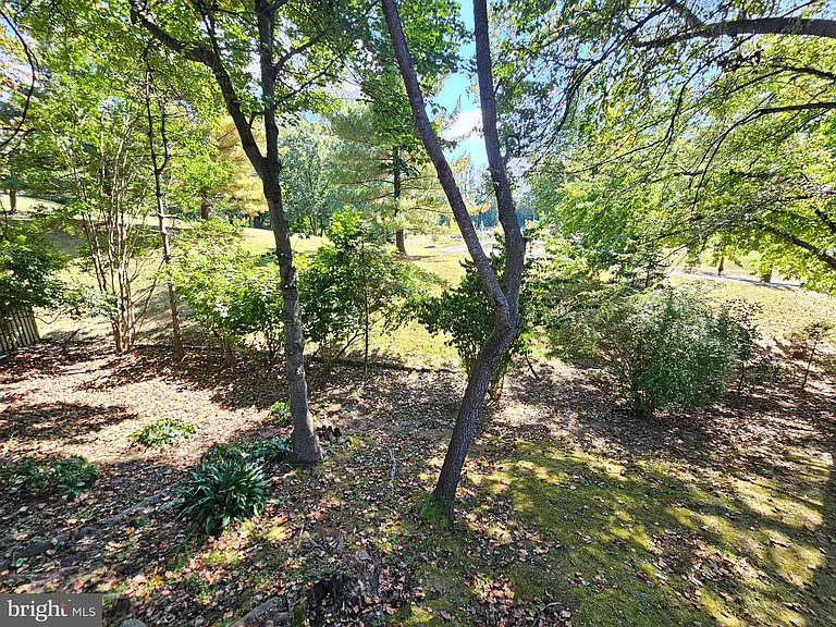 11321 Classical Ln — Photo 59