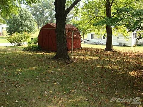 Back Yard and Storage Shed