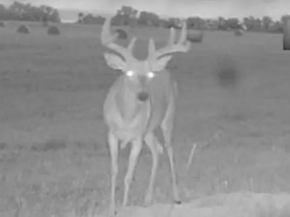 11549 W Golden Bell Cir, Clearwater, KS 67026