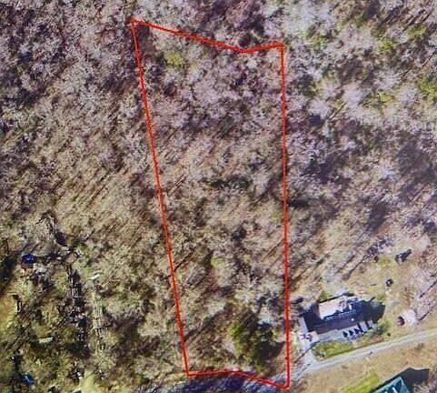 2nd image of 239 Jenkins Rd