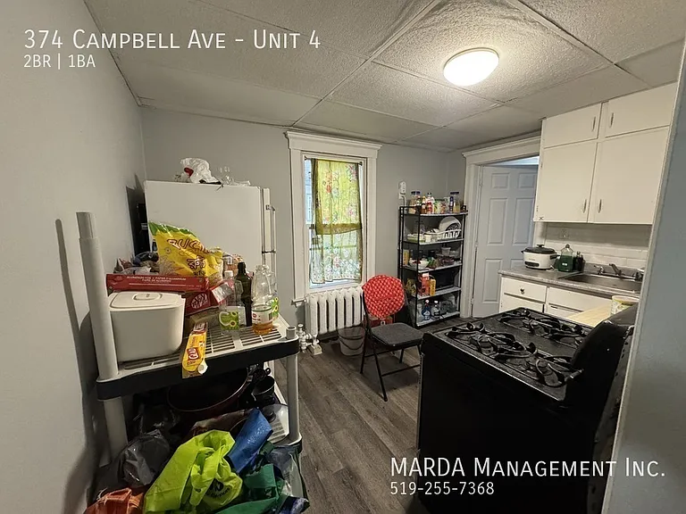 374 Campbell Ave #4 — Photo 9