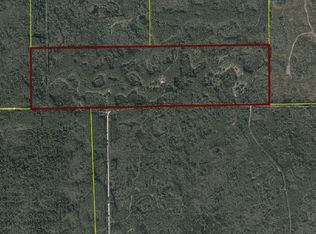 0 SW Gary L Thomas Rd, Mayo, FL 32066