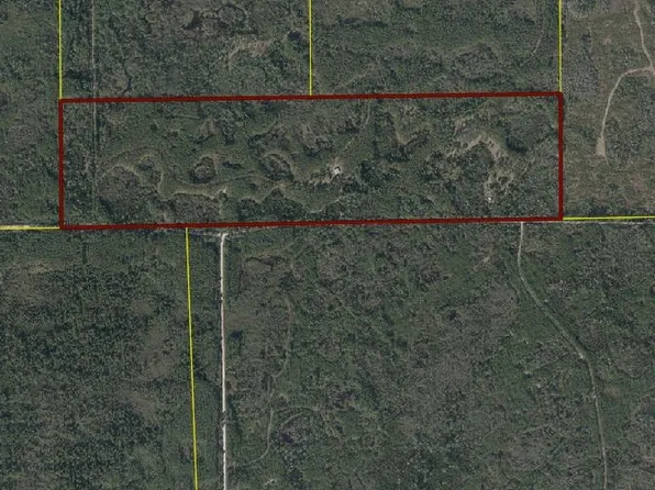 0 SW Gary L Thomas Rd, Mayo, FL 32066