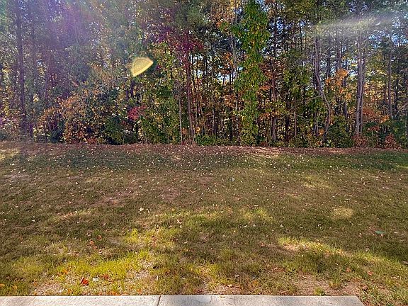 3rd image of 8845 Chapman Trace Way