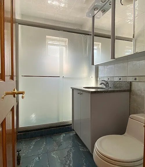 66-60 Booth St #PENTHOUSE — Photo 12