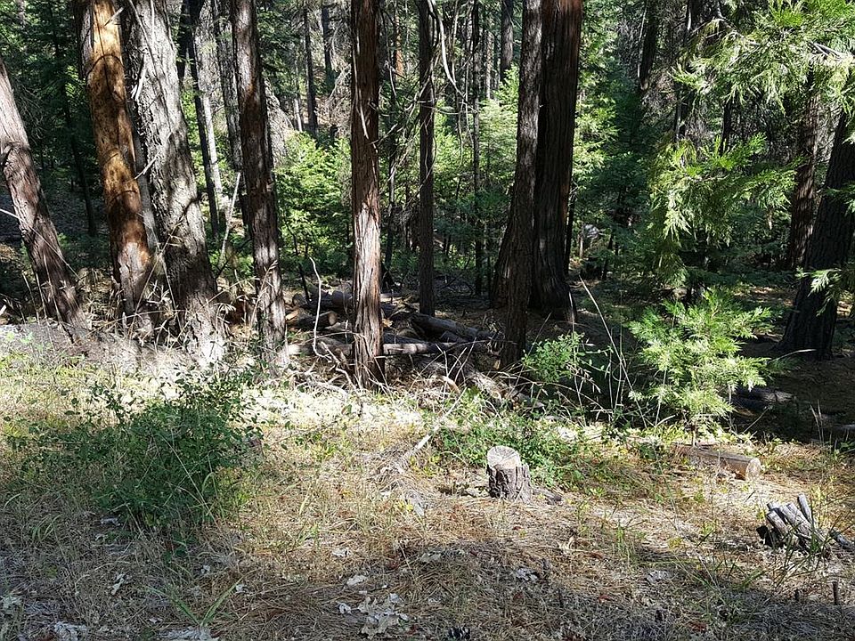 1st image of 181 Forest Meadows Dr