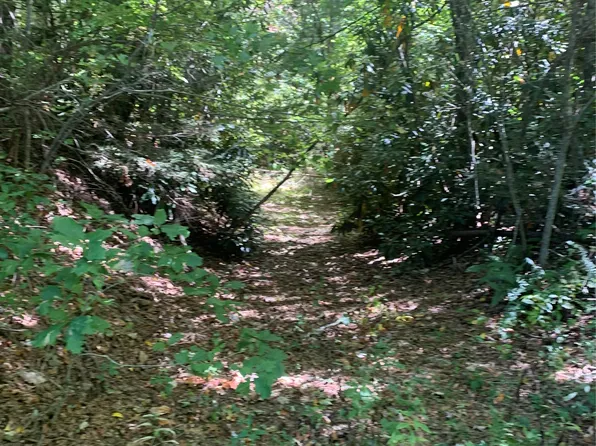 TBD Hwy 106, Scaly Mountain, NC 28775