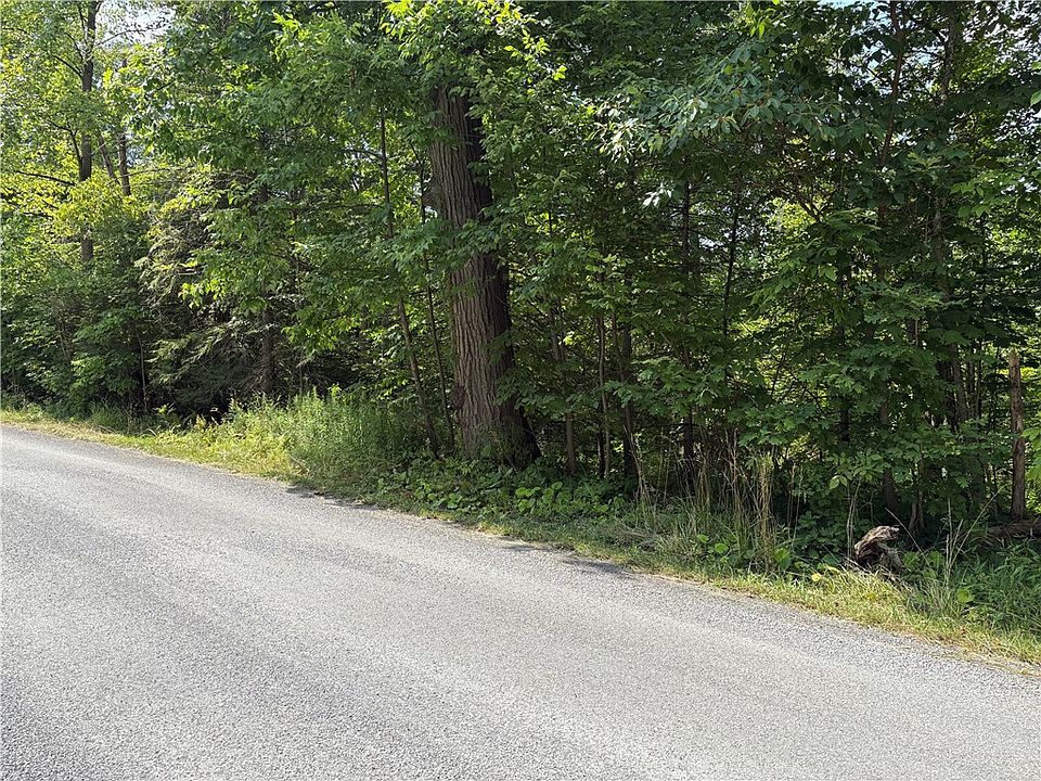 2nd image of 0 Red Line Rd