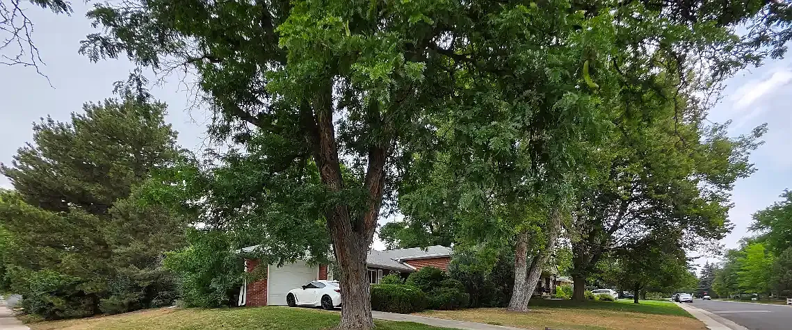 3 bed, 1800 sqft, $3,000 — Photo 1