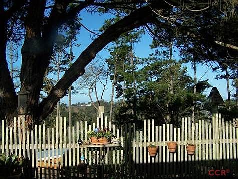 Back Yard Looking Toward Ocean.
