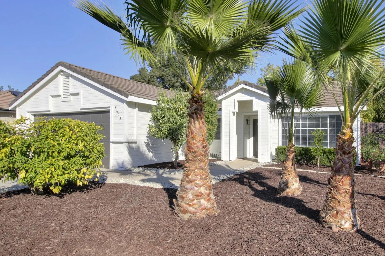8603 New Island Way photo 1
