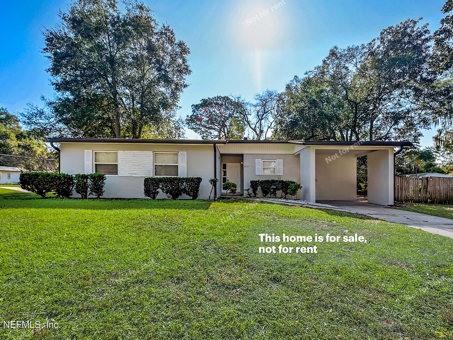 2254 CLEMSON Road, Jacksonville, FL 32217 Zillow