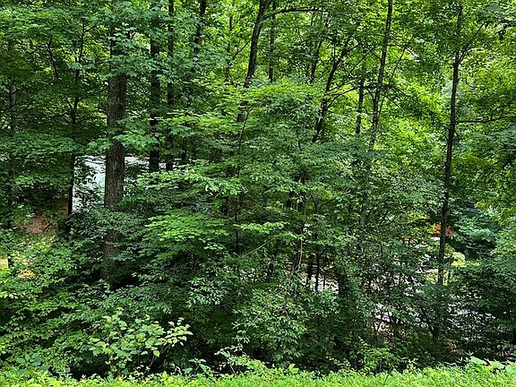 4th image of 406 Ski View Ln Lot 406