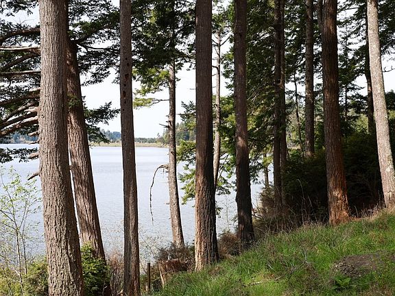 3rd image of 71350 Sunny Cove Rd