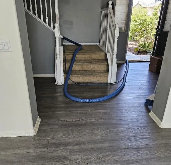 37636 Mangrove Dr — Photo 3