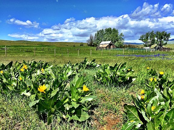 5th image of Tbd Highway 95 Adams County Idaho