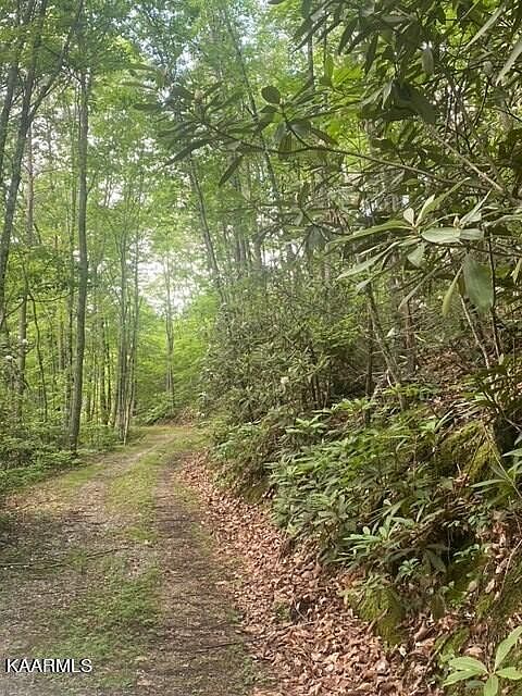 2nd image of Critter Valley Way Lot 16