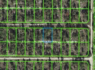 415 Scaup Ave, Sebring, FL 33872