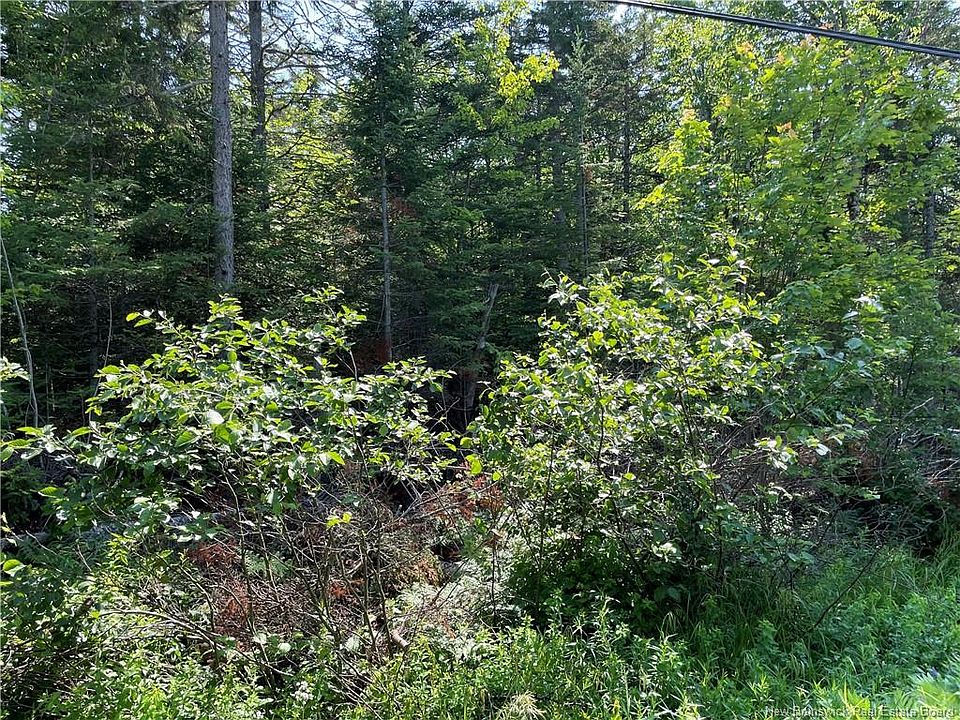 1st image of LOT 3 Route 490