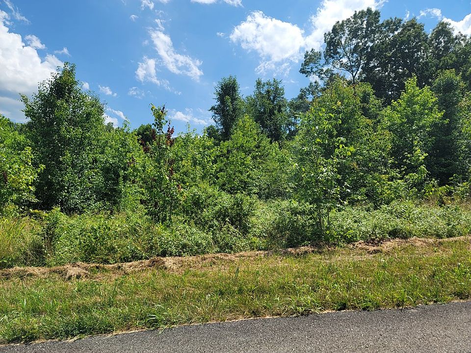 2nd image of LOT 1 Purvin Lollar Rd