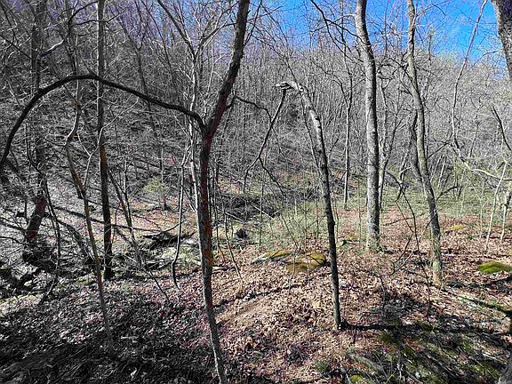 4th image of 4411 Red Bluff Rd