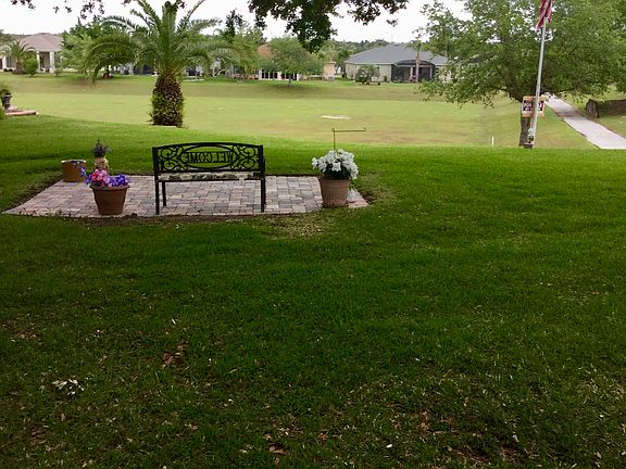 Back view park like setting