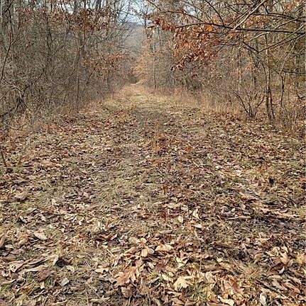5th image of Lylette Dr