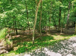 LOT 481 Diaz Ct, Ellijay, GA 30540