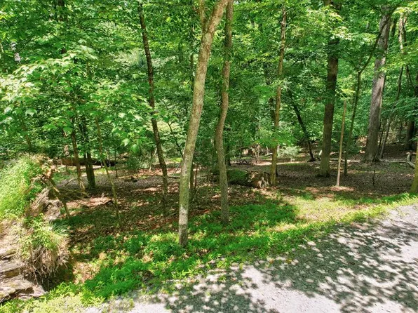 LOT 481 Diaz Ct, Ellijay, GA 30540