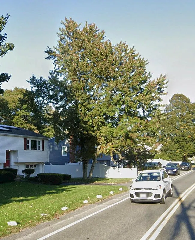 3 bed, 2.0 bath, 1300 sqft, $3,500 — Photo 3