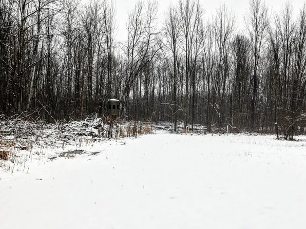 44th St Lot Wp001, Paw Paw, MI 49079