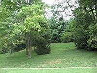 1st image of 800 Cascade Dr