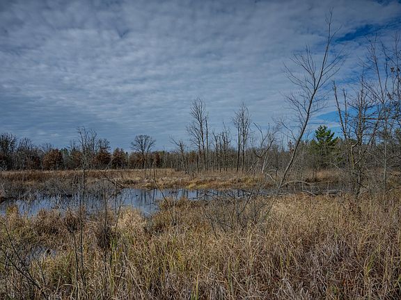 5th image of 33.19 Acres Hwy #80