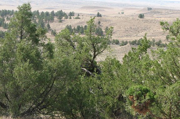 3rd image of 11676 Indian Canyon Rd