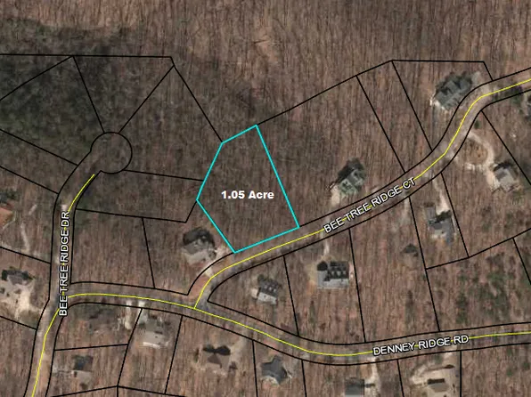 Bee Tree Ridge Ct, Jasper, GA 30143