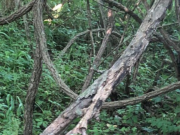 5th image of E Crosstimber Ln Lot 7